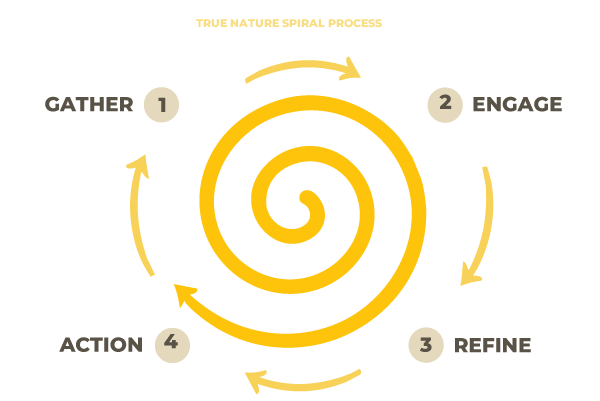 Our Spiral Process 